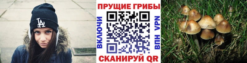 Галлюциногенные грибы прущие грибы Купить Славгород